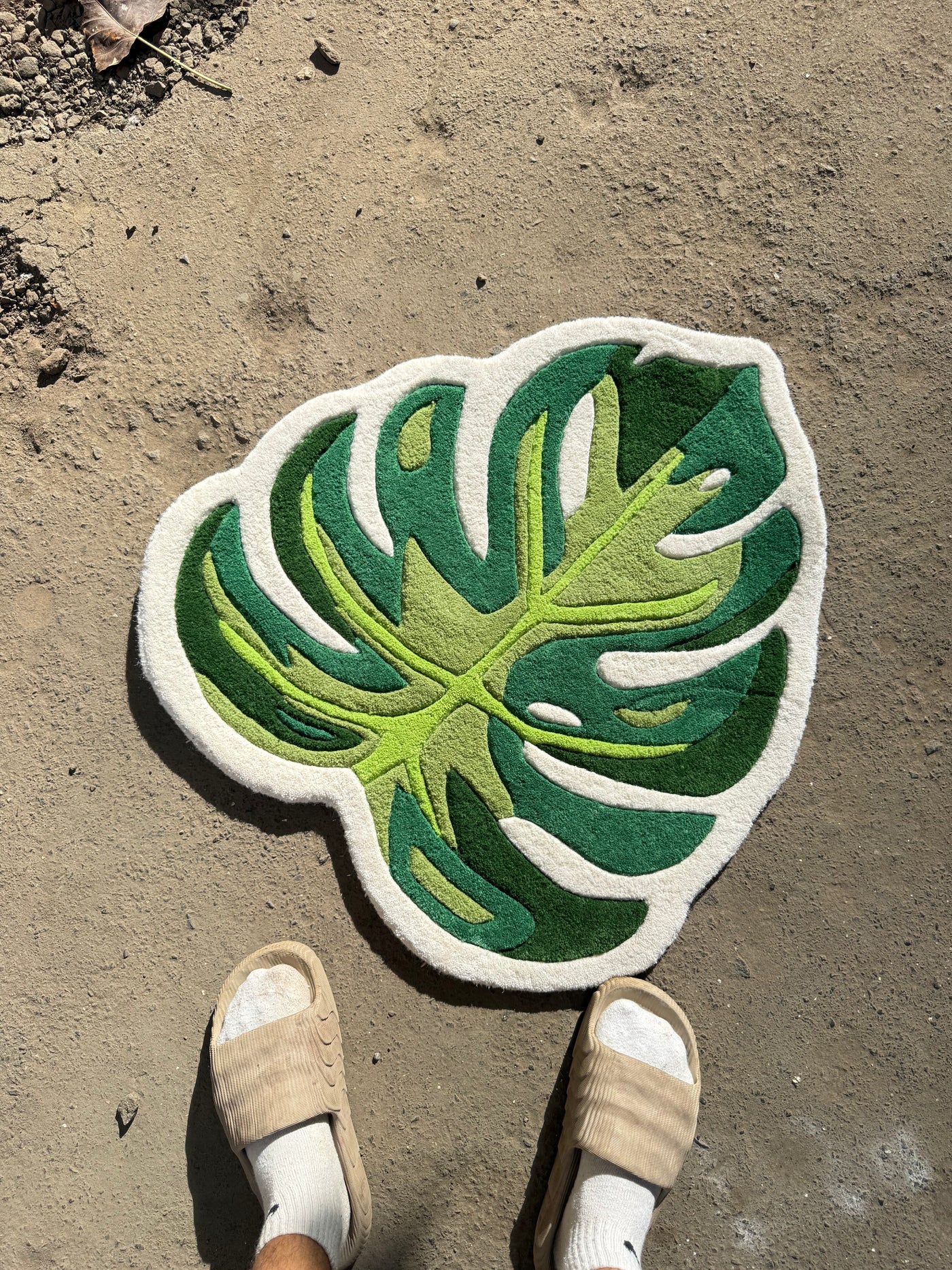 Monstera Leaf