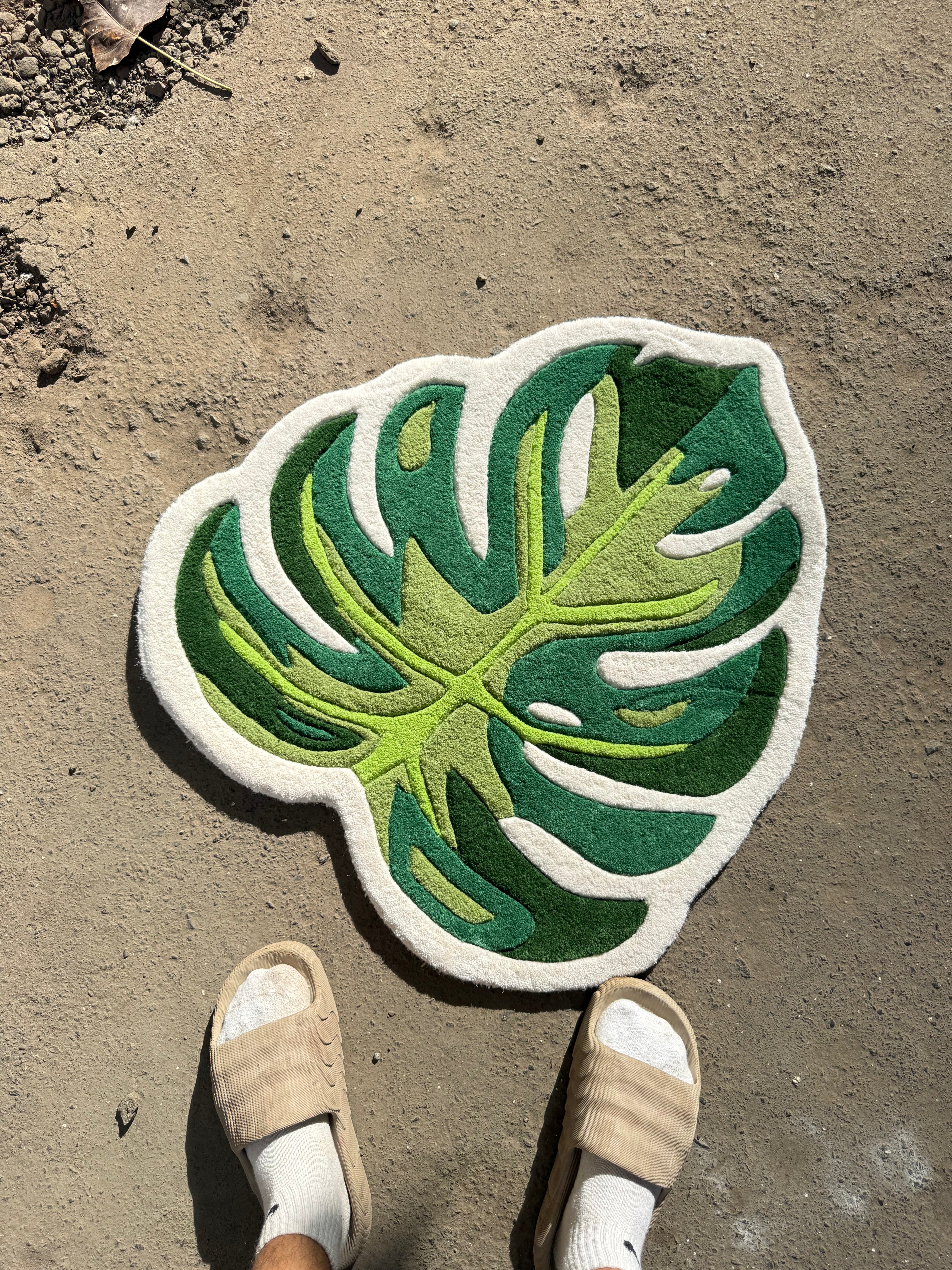 Monstera Leaf